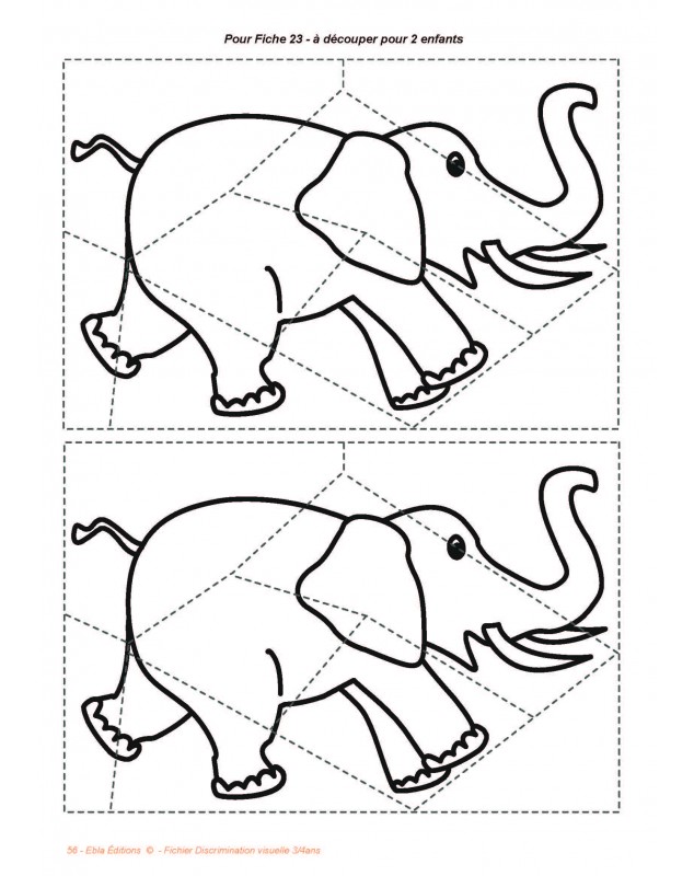 Discrimination visuelle PS