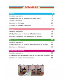 130 adaptations vers l'inclusion 130 propositions pratiques pour favoriser l 'inclusion des élèves à besoins particuliers en milieu scolaire ordinaire -  broché - Morgane Sanzey-Nicolas - Achat Livre